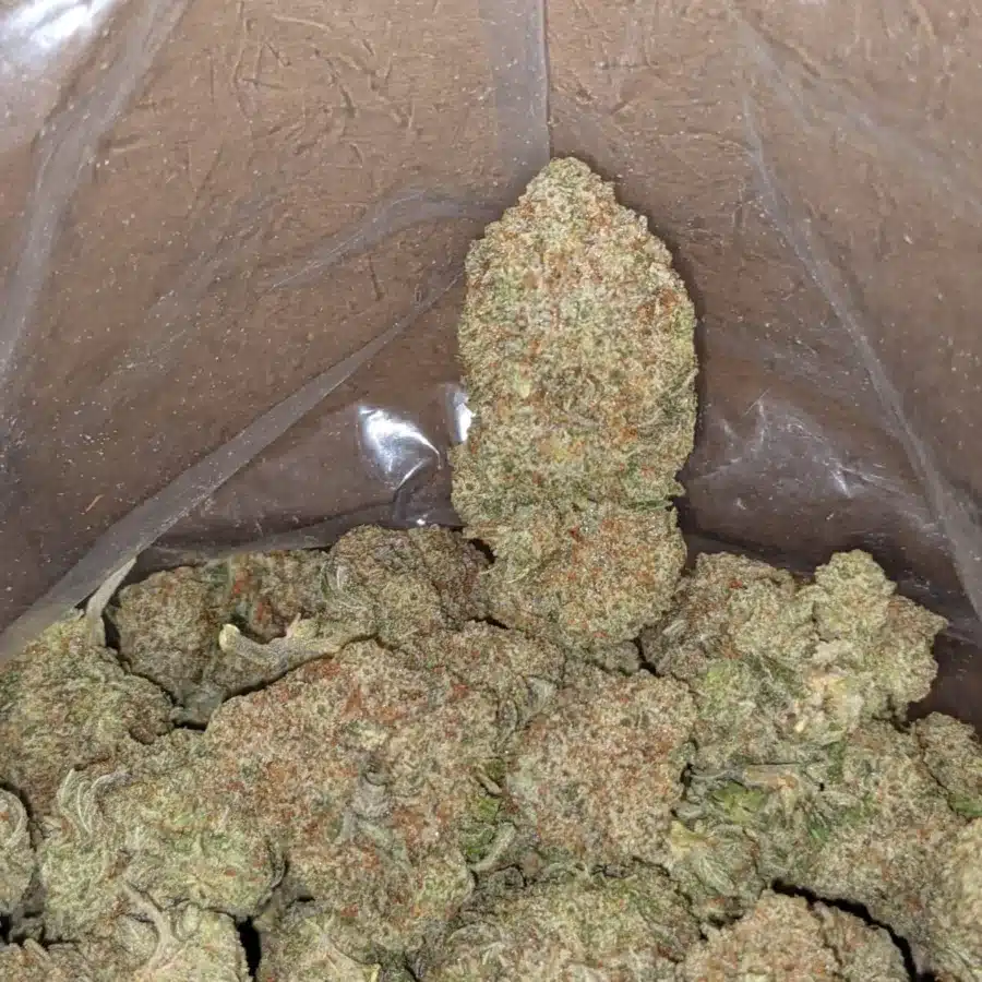 Raw dawg 4 I Raw Dawg