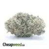 Snowcap
