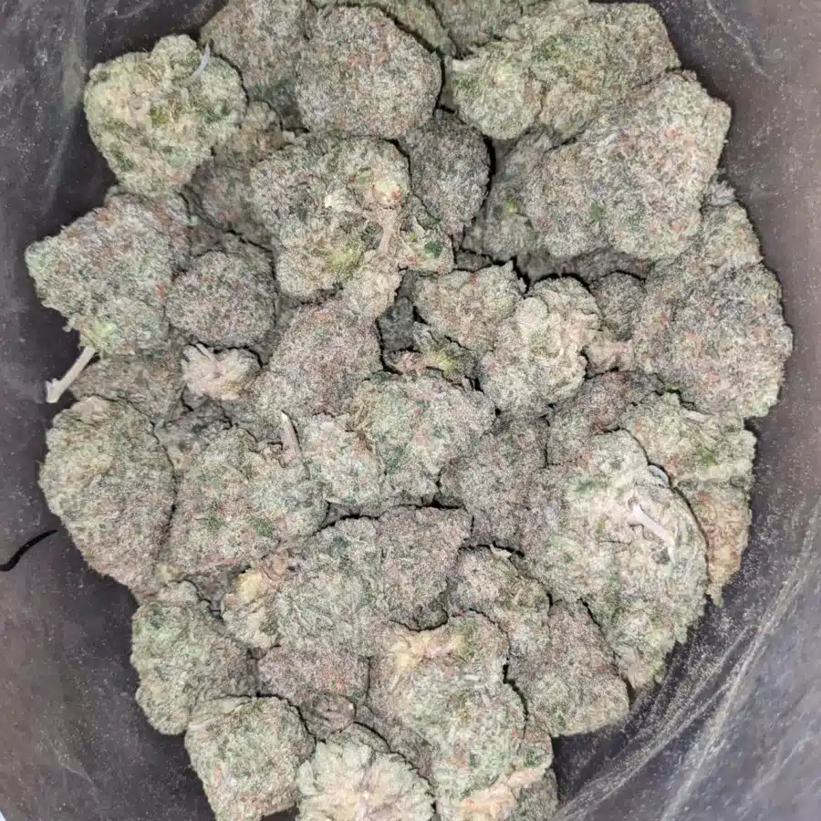WhatsApp Image 2025 12 06 at 4.53.40 PM I Frosted Kush Cakes