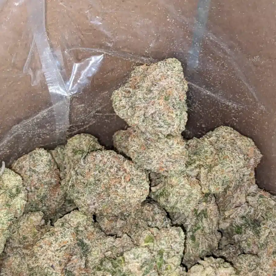 WhatsApp Image 2025 12 06 at 4.53.41 PM 1 I Frosted Kush Cakes