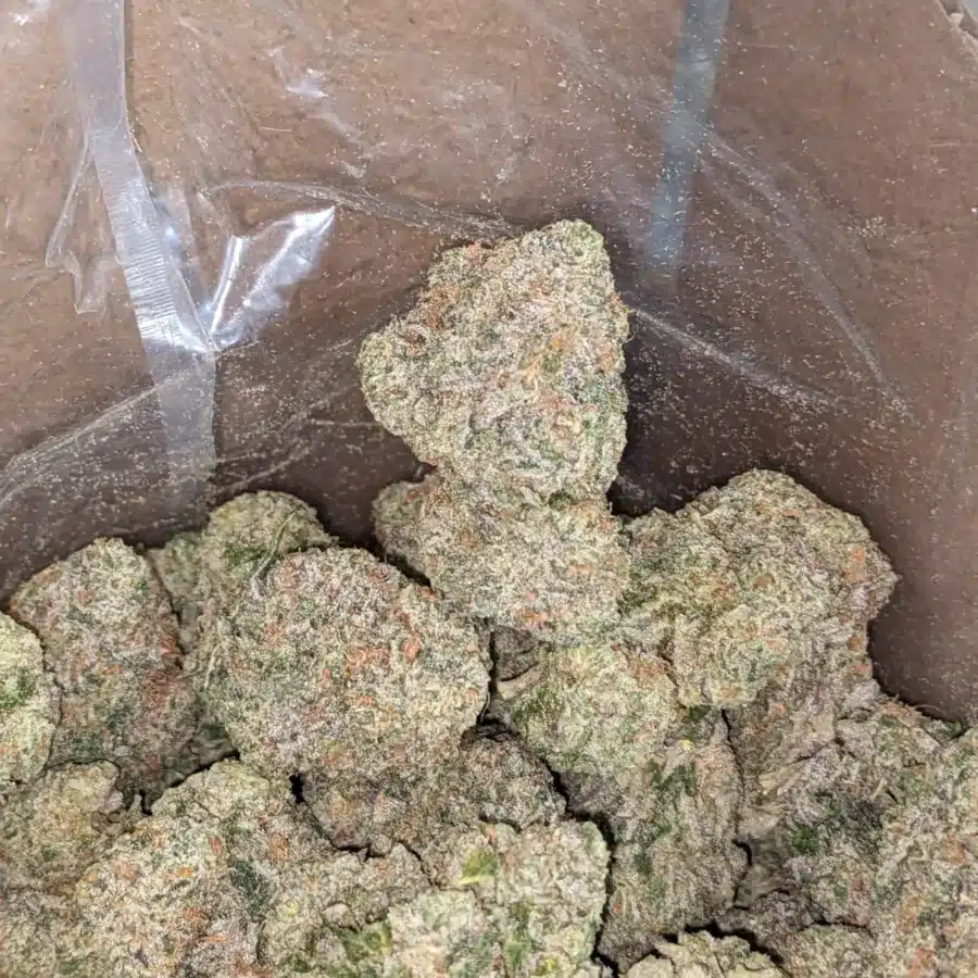 WhatsApp Image 2025 12 06 at 4.53.41 PM 2 I Frosted Kush Cakes