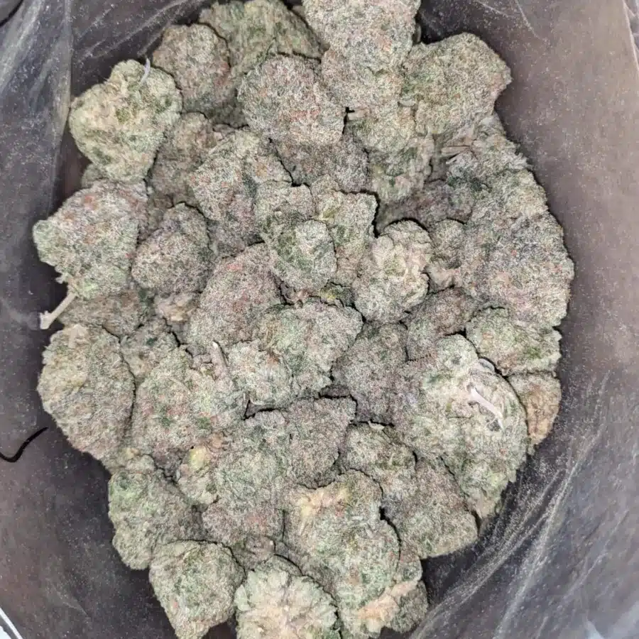WhatsApp Image 2025 12 06 at 4.53.41 PM I Frosted Kush Cakes