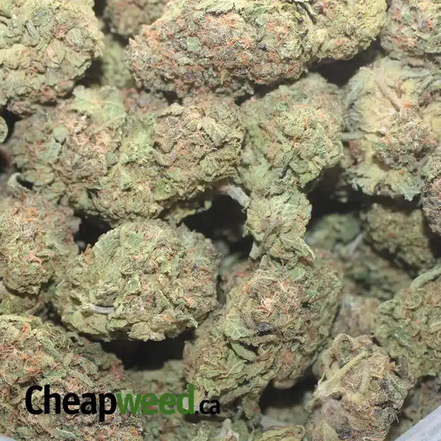 ZKITTLES 1 I $ 45 Oz - Zkittles