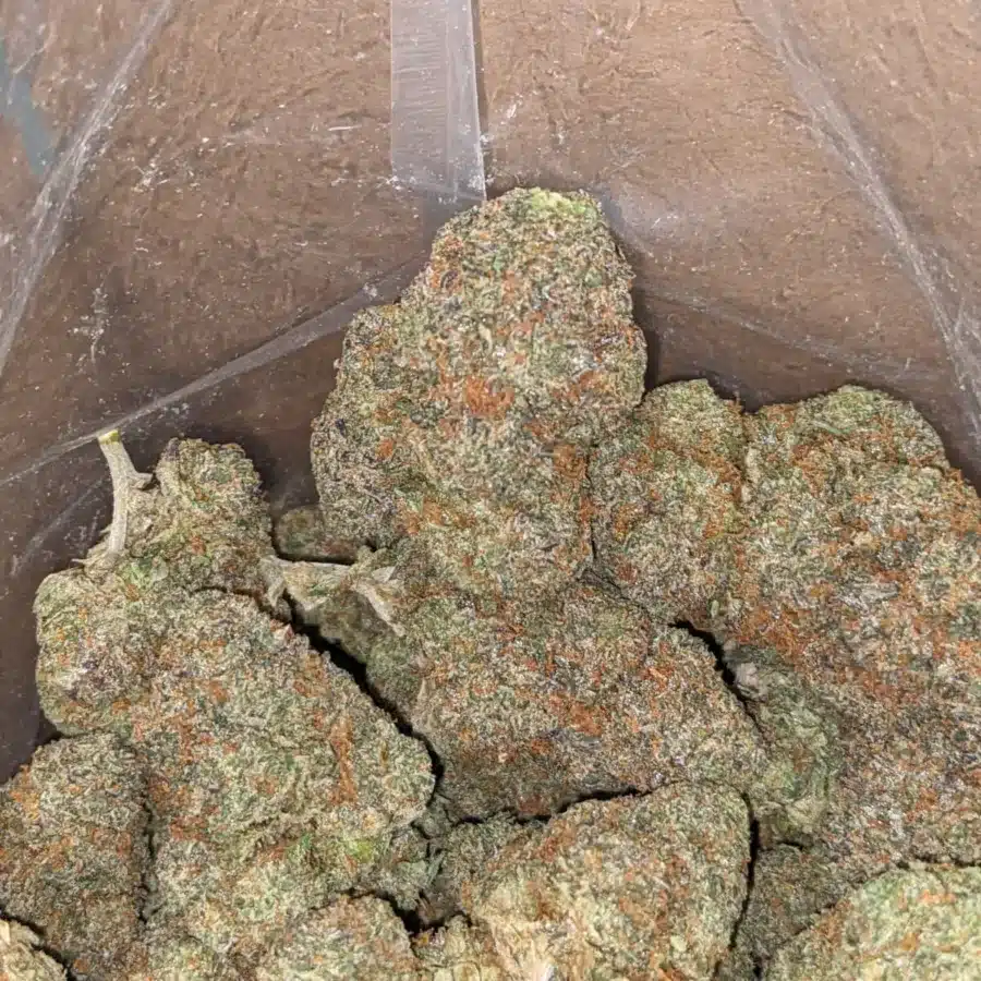 Zkittles 1 1 I Zkittles