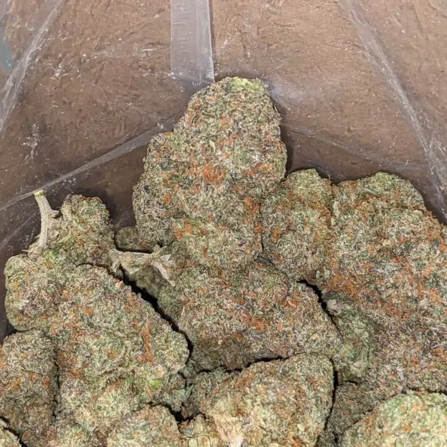 Zkittles 3 1 I Zkittles