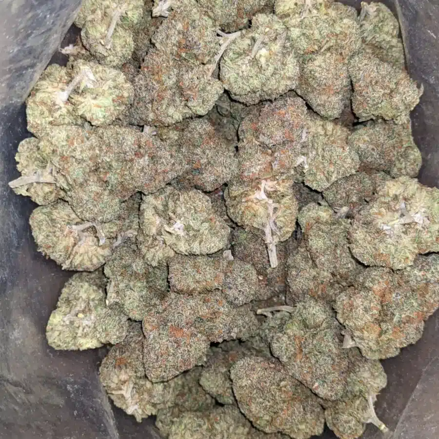 Zkittles 4 I Zkittles