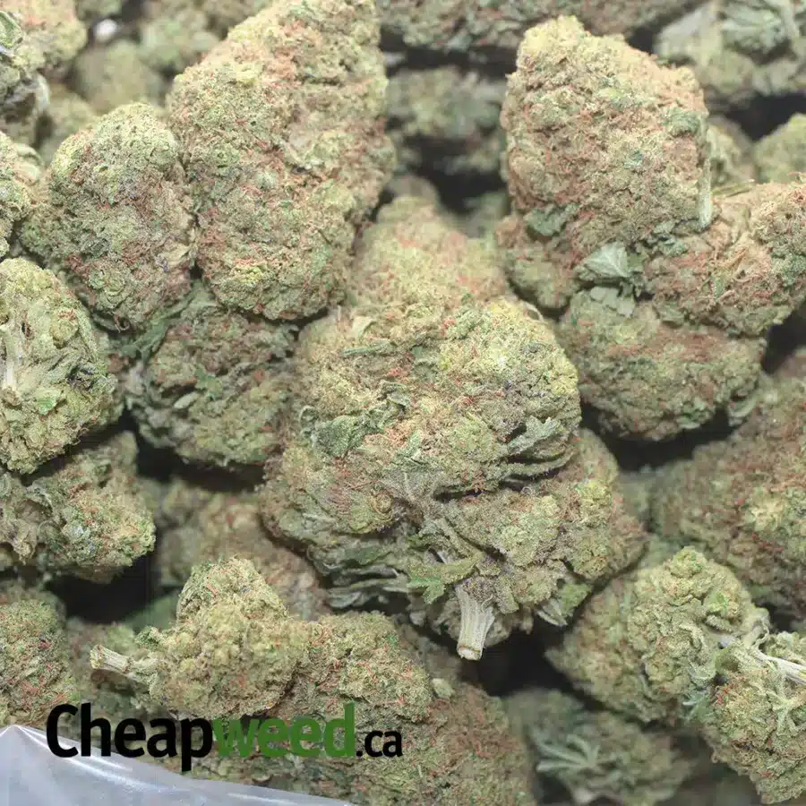 APPLE FRITTER 1 I $ 52 Oz - Apple Fritter