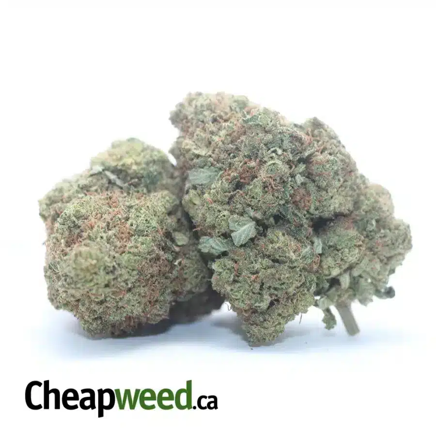 Alternative view of $ 52 Oz - Apple Fritter