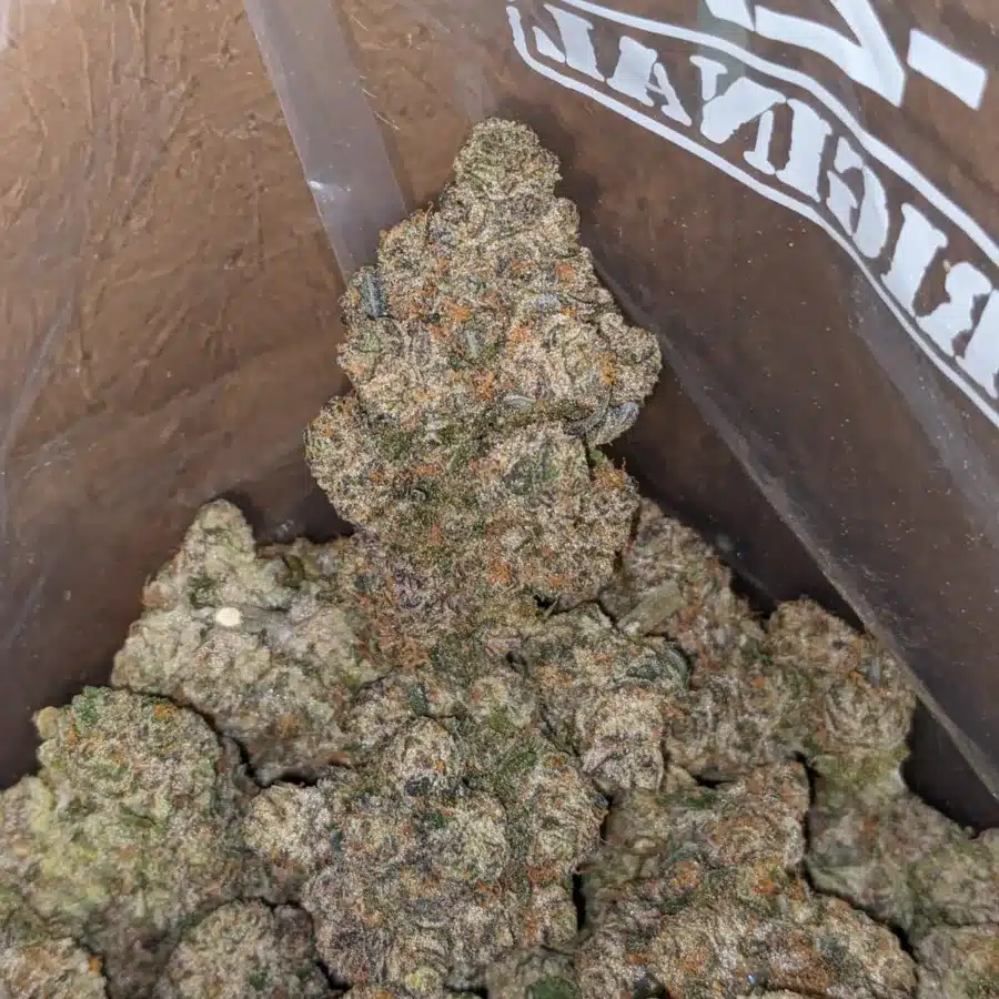 Apple Fritter AAA 3 I Apple Fritter AAA+