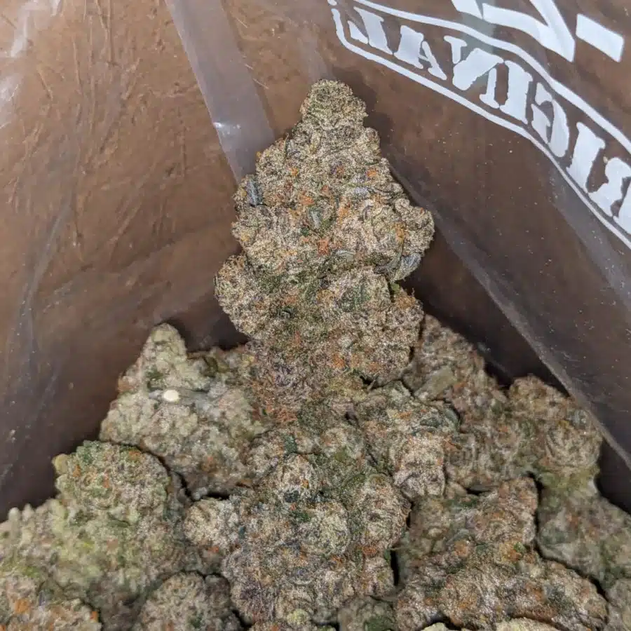 Apple Fritter AAA 4 I Apple Fritter AAA+