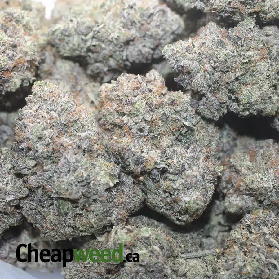 BATMAN 1 I Batman OG