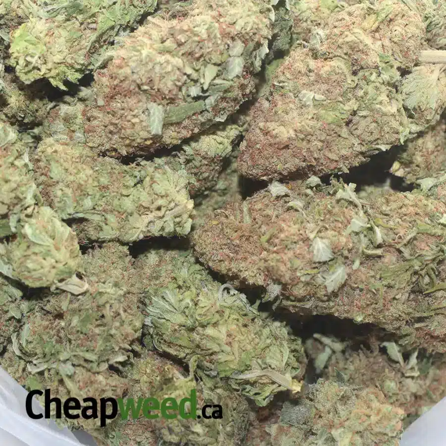 BLUE DREAM FLAT 1 I $46 Oz Blue Dream