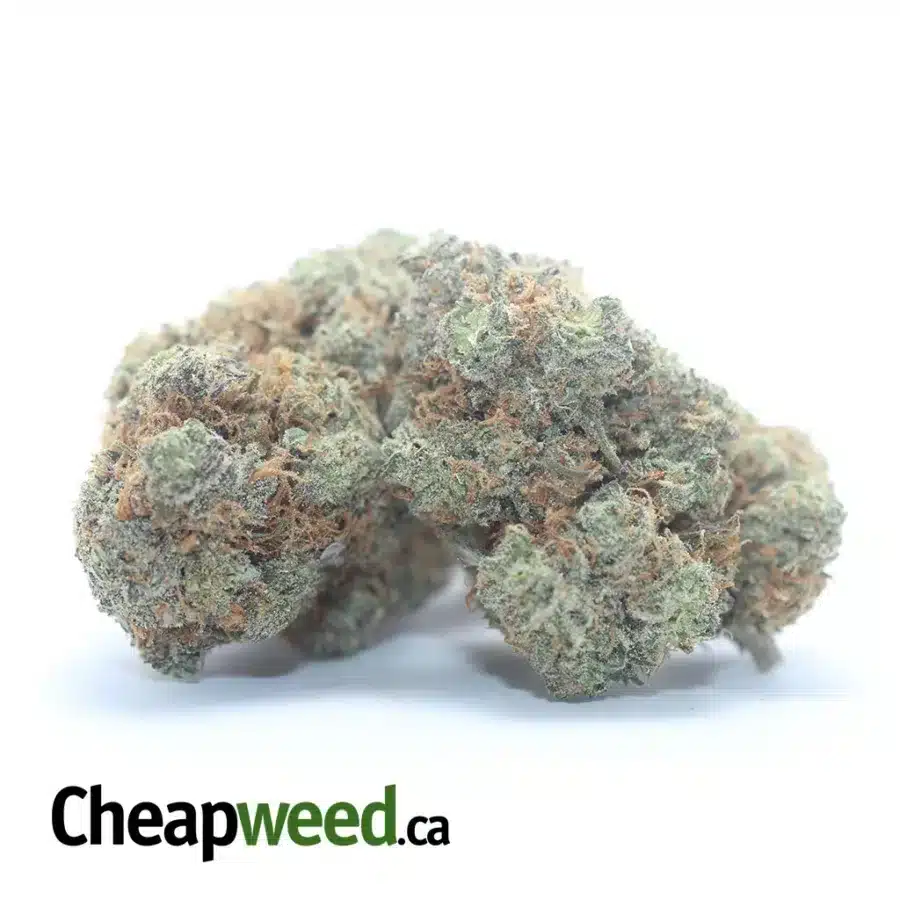 Alternative view of Candy Breath