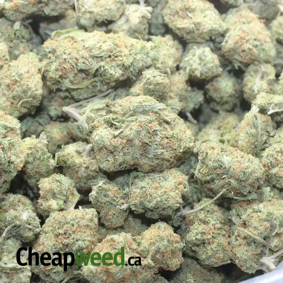 COOKIE WRECK 1 I $ 46 Oz - Cookie Wreck