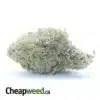$ 46 Oz - Cookie Wreck