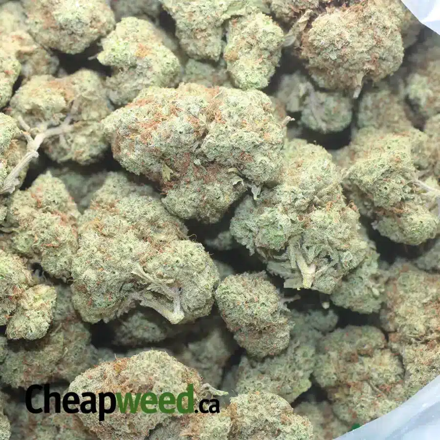 COOKIES AND CREAM FLAT 1 I $50 Oz Cookies N' Creme