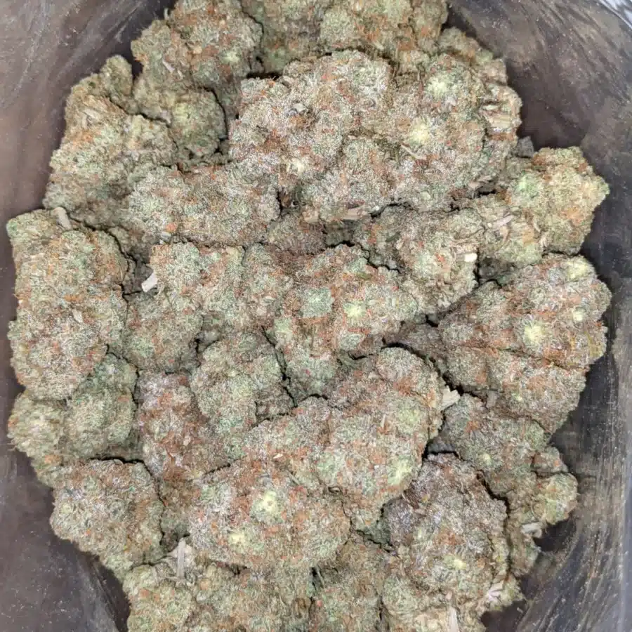 Candy breath 3 I Candy Breath