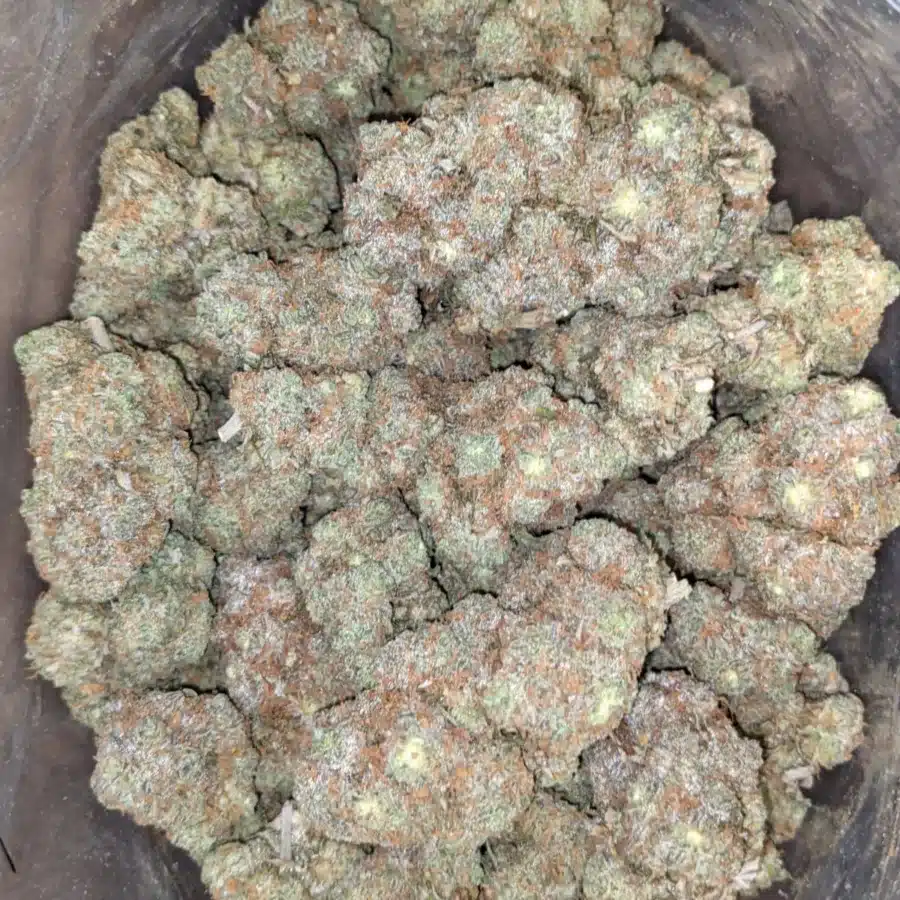 Candy breath 4 I Candy Breath