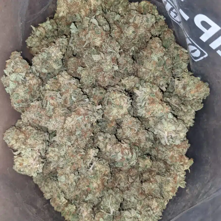 Citrus Sour 1 I Citrus Sour