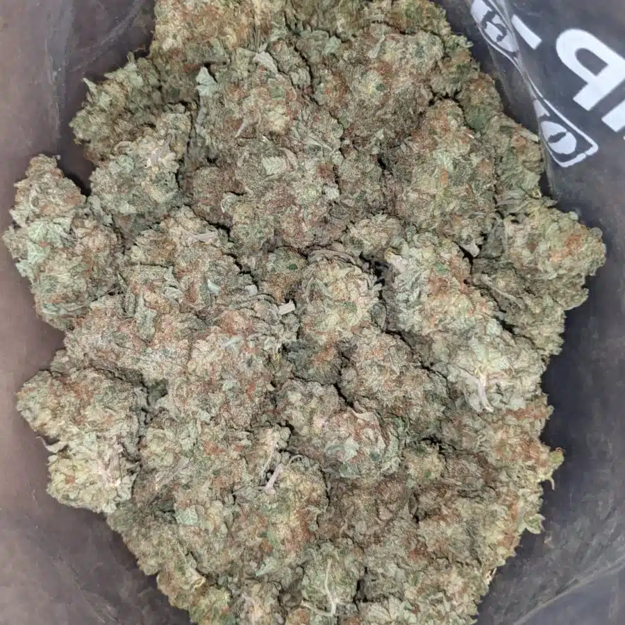 Citrus Sour 2 I Citrus Sour