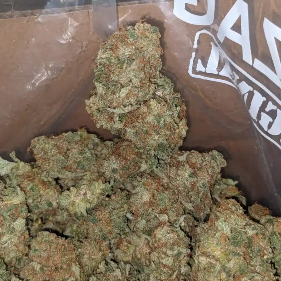 Citrus Sour 3 I Citrus Sour