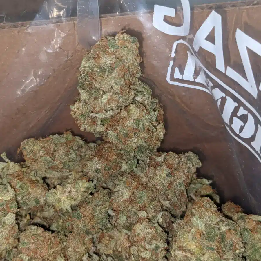 Citrus Sour 4 I Citrus Sour
