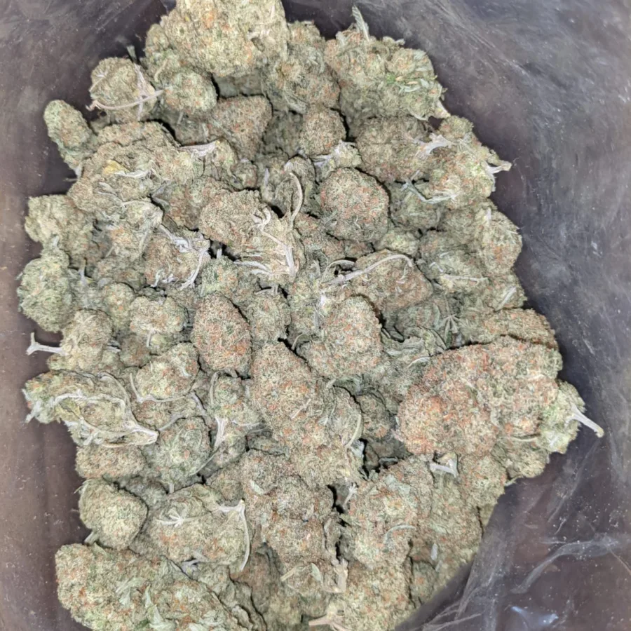 Cookie Kush 2 I Cookie Kush