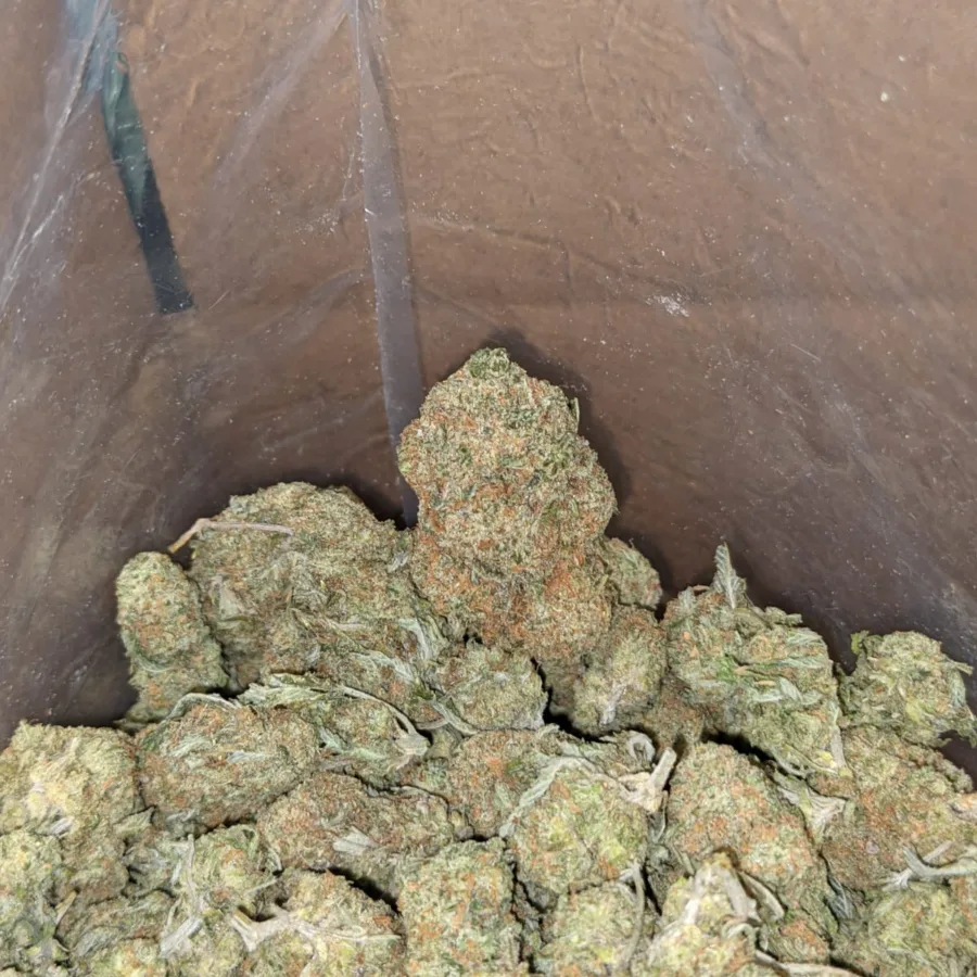 Cookie Kush 3 I Cookie Kush