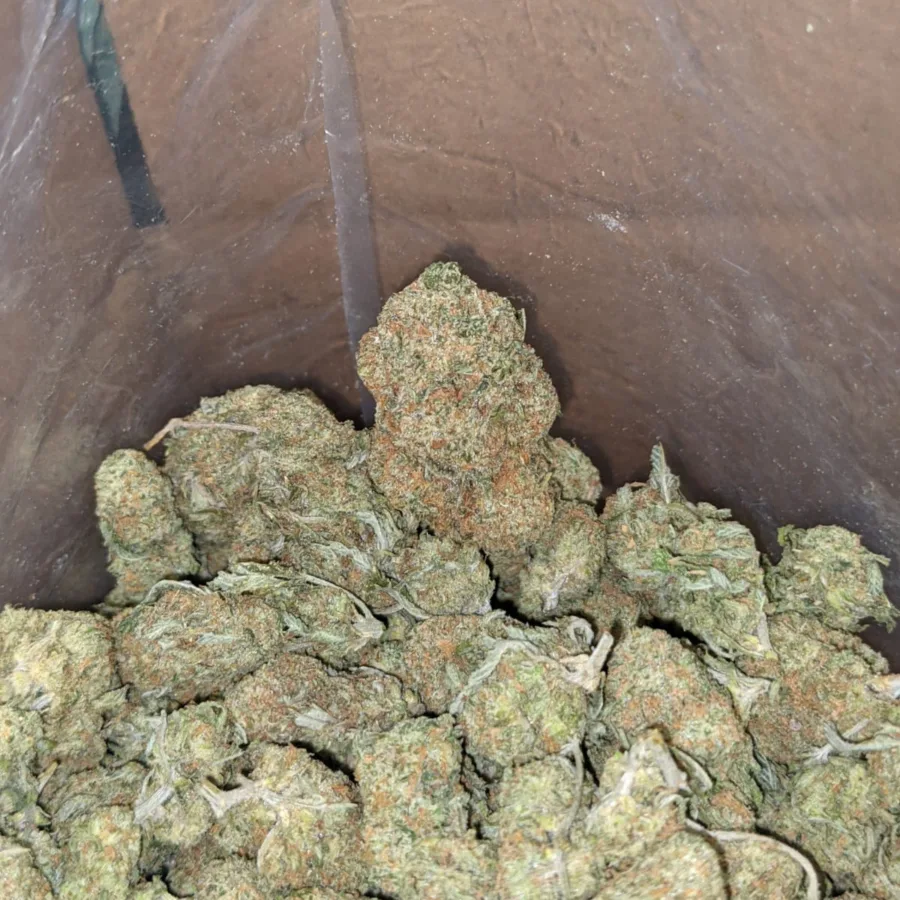 Cookie Kush 4 I Cookie Kush
