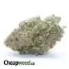$ 52 Oz - Forum Cut Girl Scout Cookies