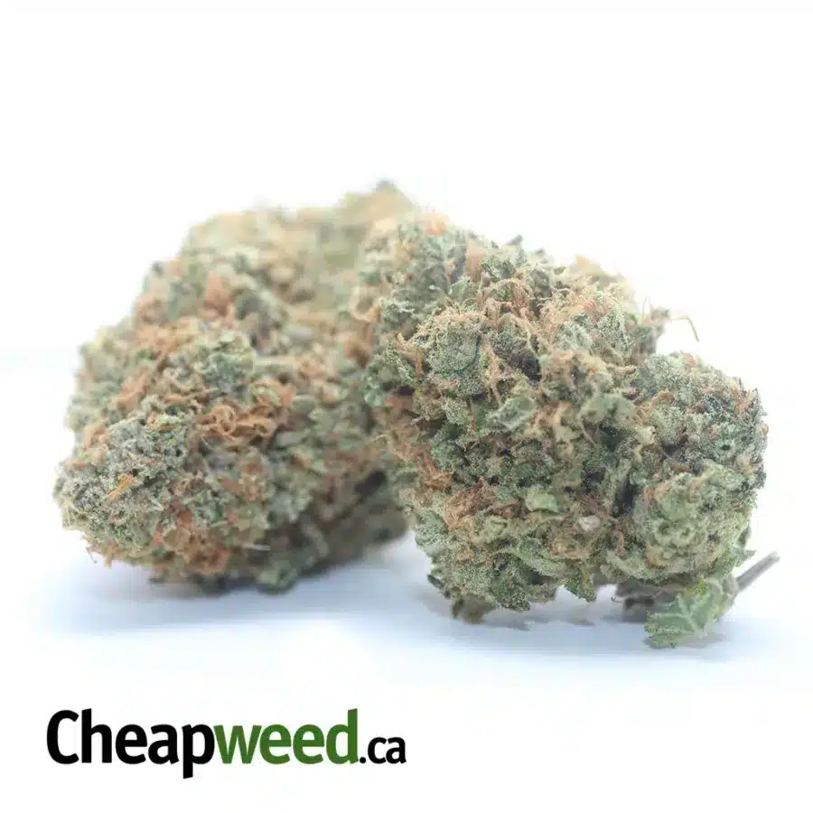 Alternative view of $ 52 Oz - Forum Cut Girl Scout Cookies
