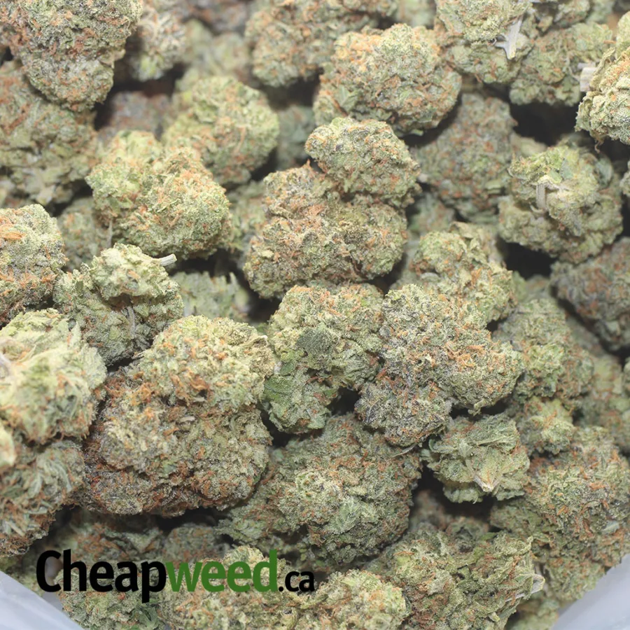 FRUITY PEBBLES 1 I $ 50 Oz - Fruity Pebbles