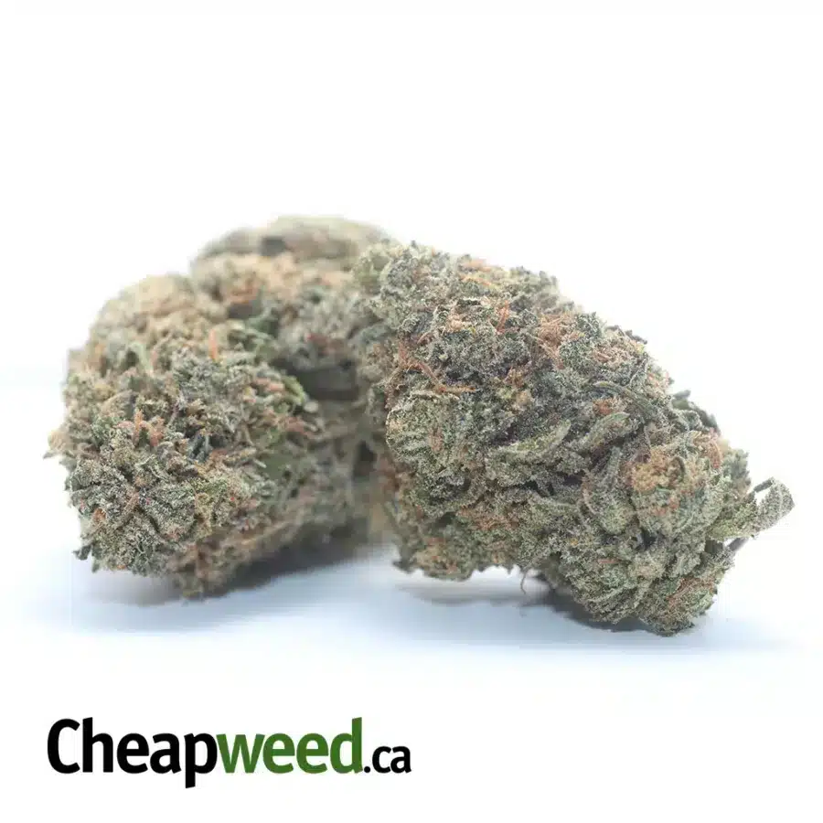 Alternative view of Gelato Zkittles