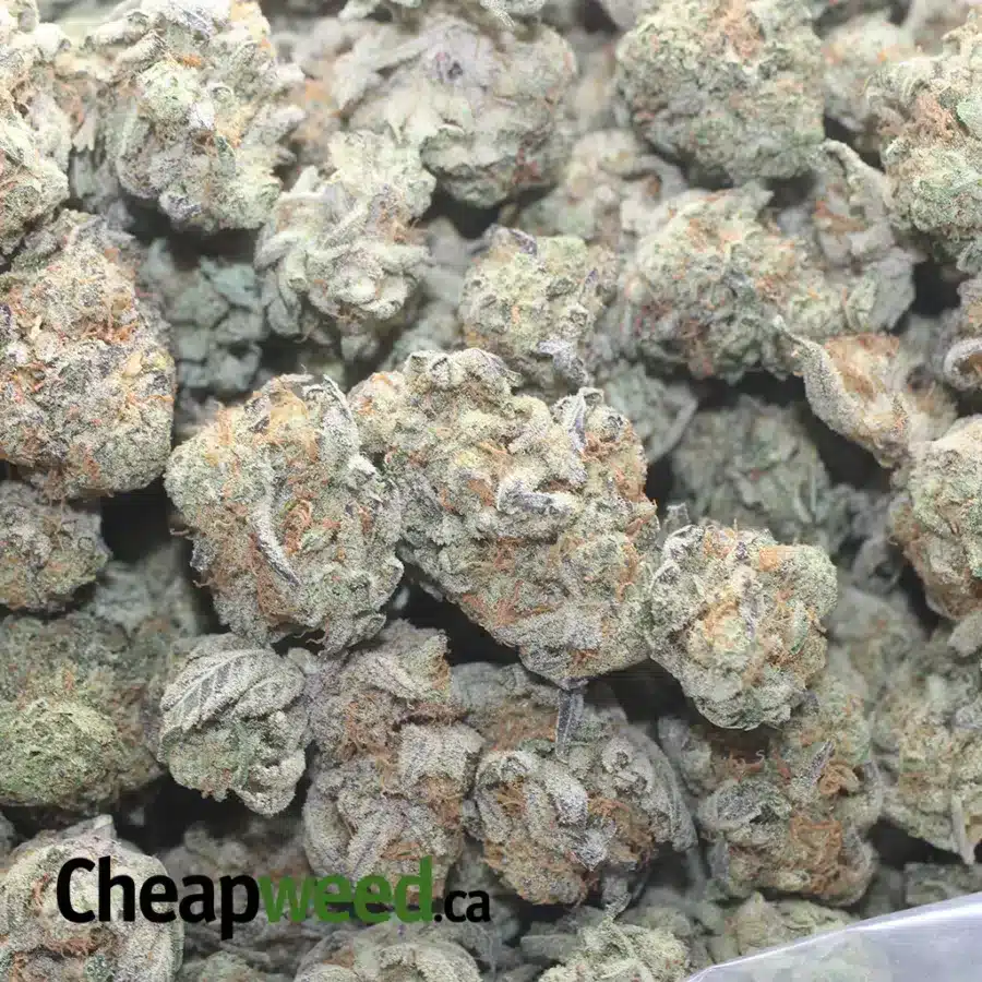 GHOST TRAIN HAZE 1 I $ 43 Oz - Ghost Train Haze