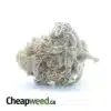 $ 43 Oz - Ghost Train Haze
