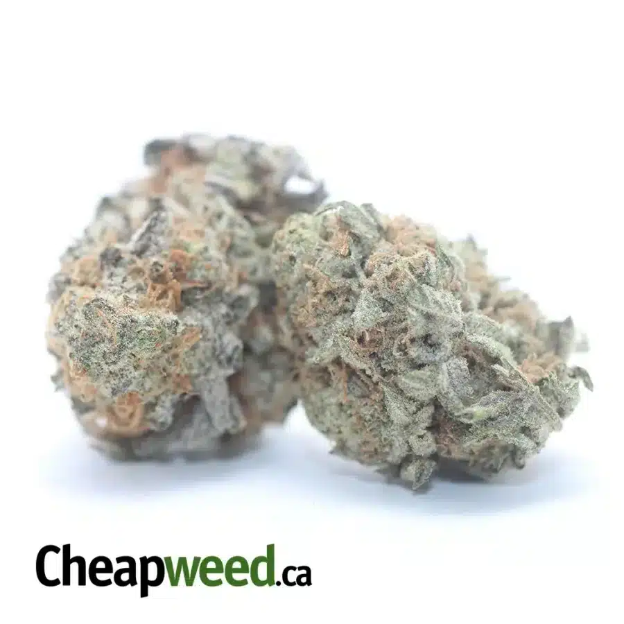 Alternative view of $ 43 Oz - Ghost Train Haze