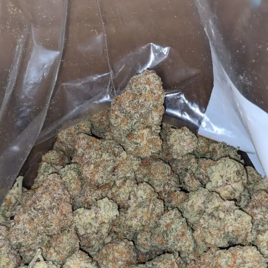 Garlic breath 3 1 I Garlic Breath