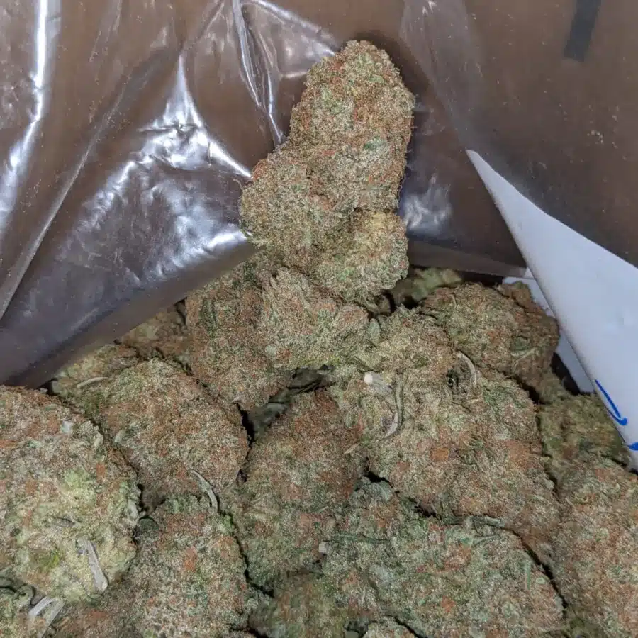Gelato 4 I Gelato