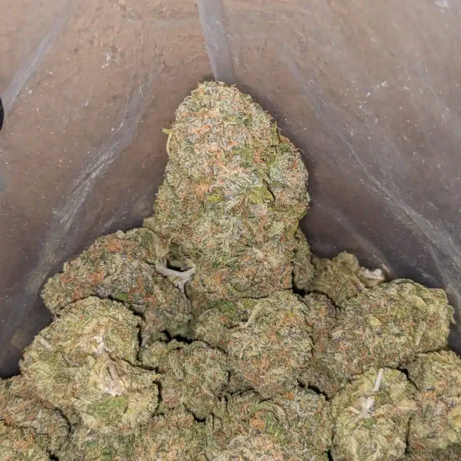 Gelato zkittles 1 I Gelato Zkittles