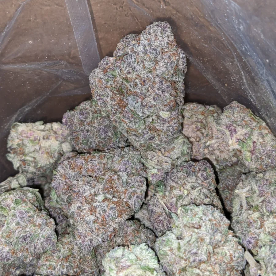 Grape Soda - Image 2