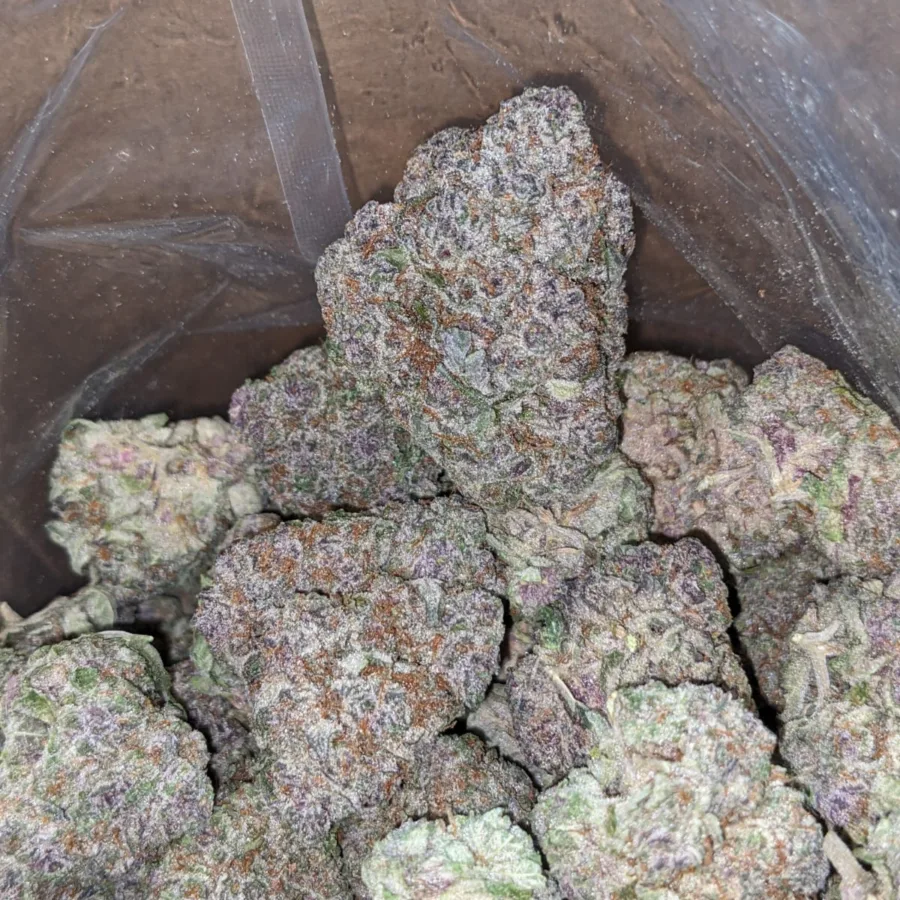 Grape Soda - Image 4