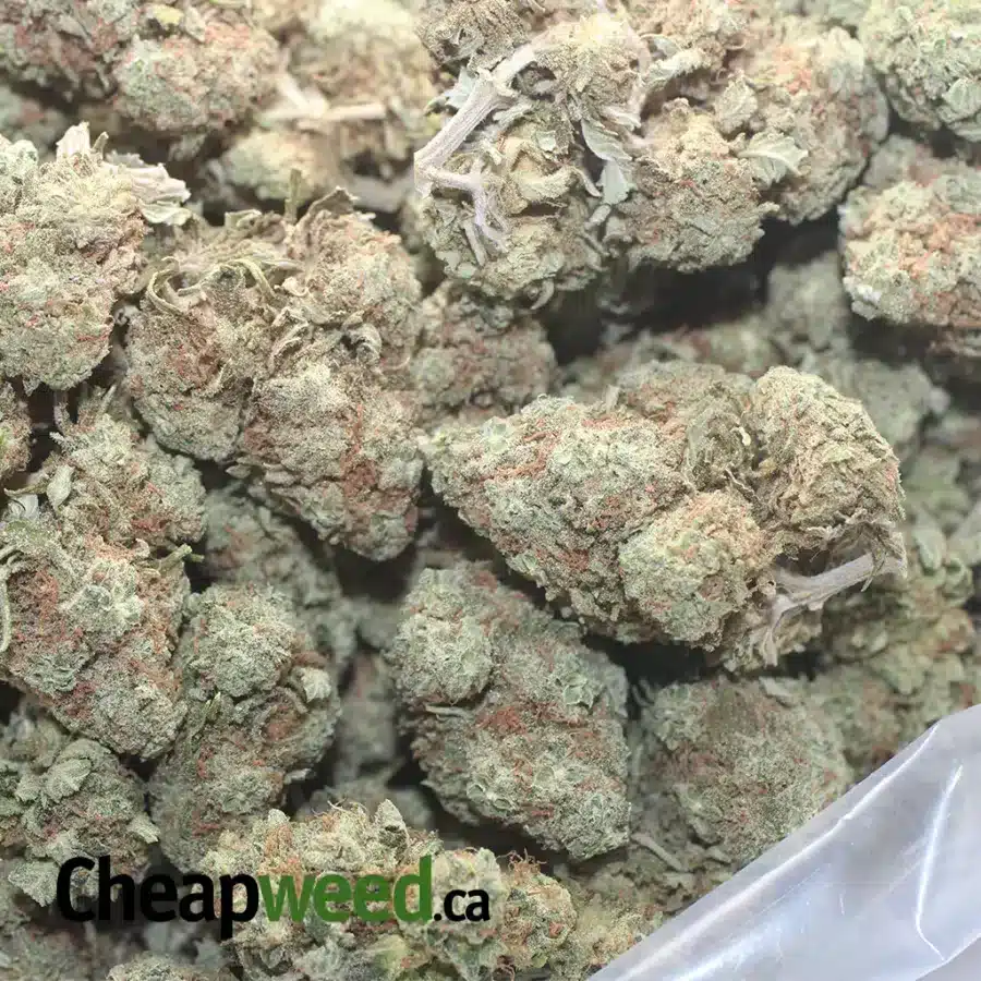 HEADBAND 1 I $ 44 Oz - Headband