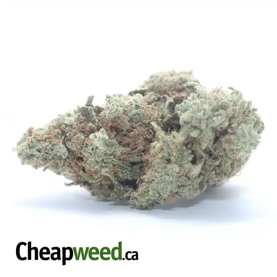 $ 44 Oz - Headband