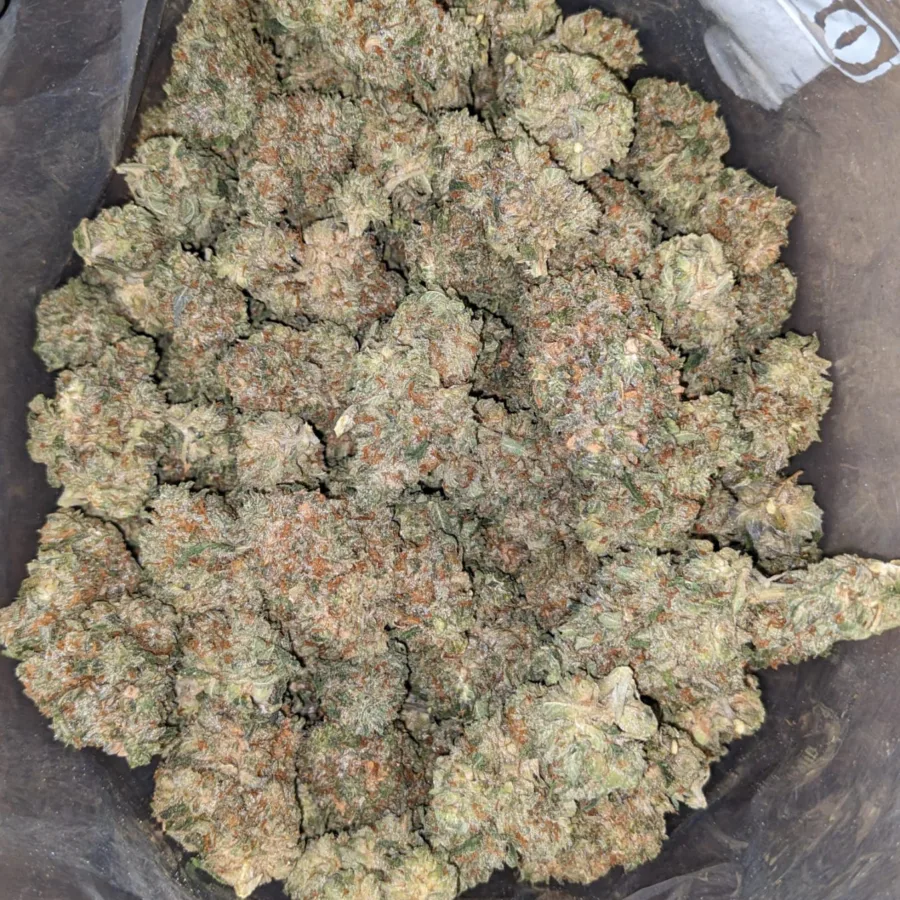 Headband 1 1 I Headband