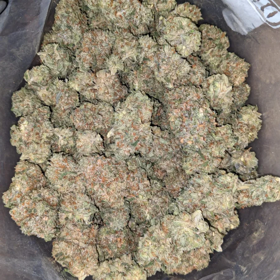 Headband 2 1 I Headband