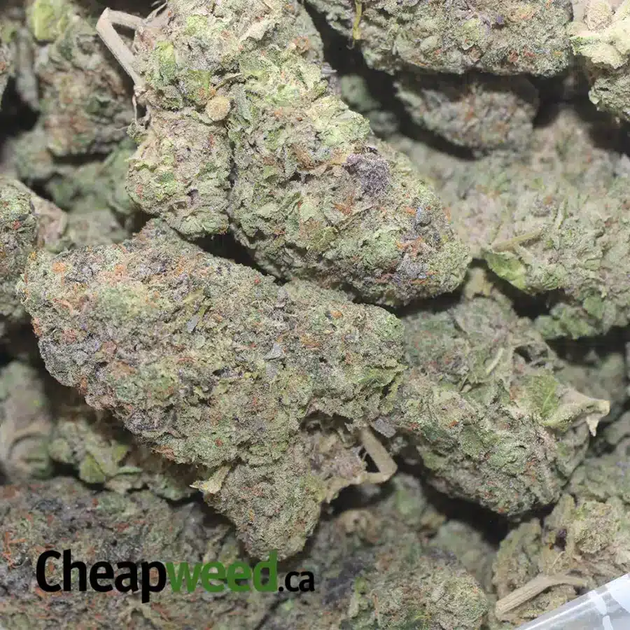 ICE CREAM 1 I $ 45 Oz - Ice Cream