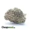 $ 50 Oz - Jetfuel Gelato