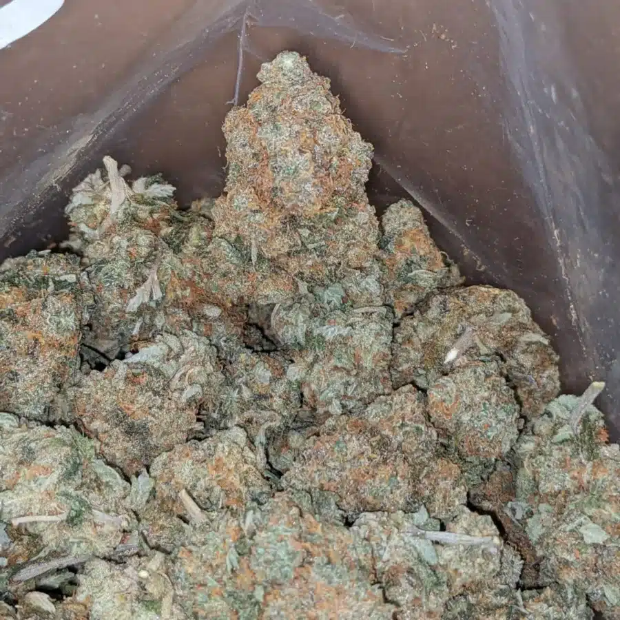 Jack herer 2 3 I $ 45 Oz - Jack Herer