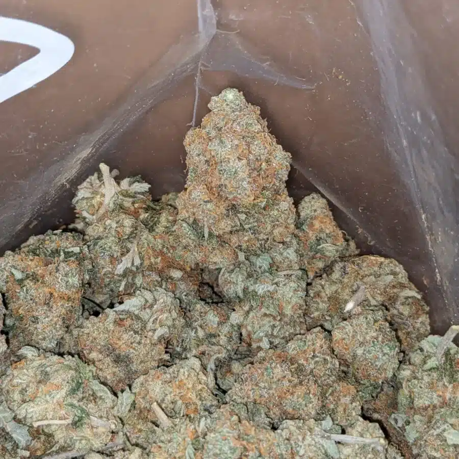 Jack herer 3 3 I $ 45 Oz - Jack Herer