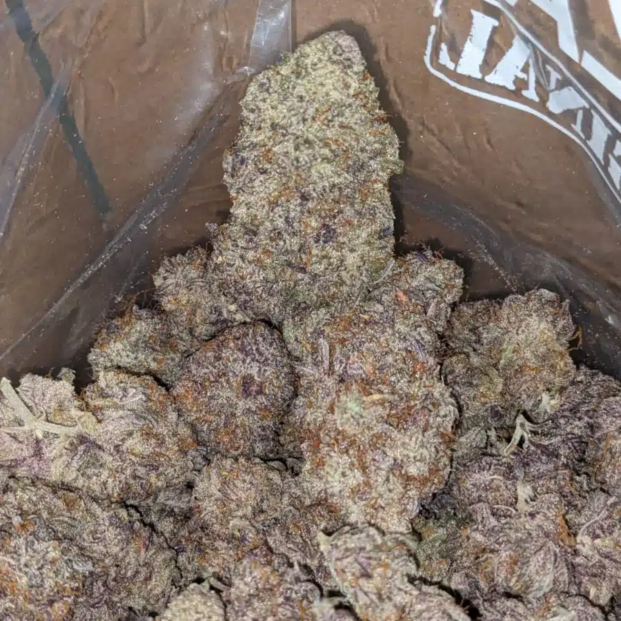 Jetfuel Gelato 3 1 I Jetfuel Gelato